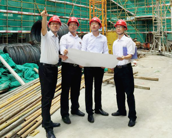 广珠电气技术团队考察项目情况